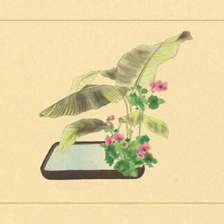 Banana and Varecinium Firtum by Sofu Teshigawara