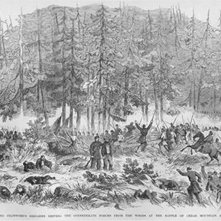 Battle of Cedar Mountain by Frank Leslie