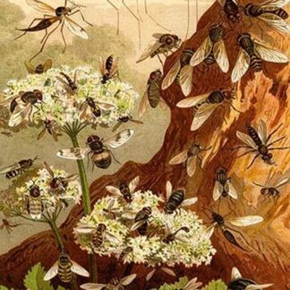 Bees by Friedrich Wilhelm Kuhnert
