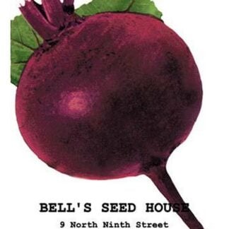 Beet: Detroit Dark Red