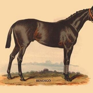 Bendigo by L. Penicaut