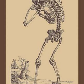 Bending Skeleton by Andreas Vesalius