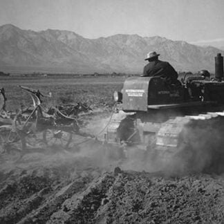 Benji Iguchi Driving Tractor in Field by Ansel Adams