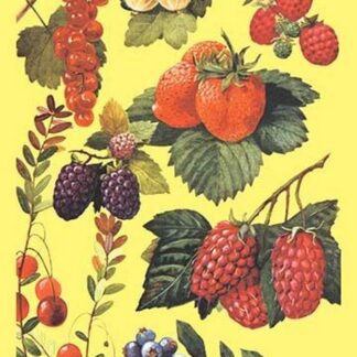 Berries