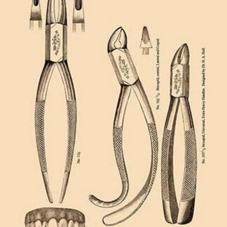 Bicuspid Forceps by H. D. Justi & Son