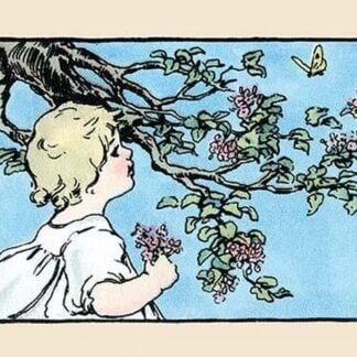 Big Butterfly by Julia Dyar Hardy