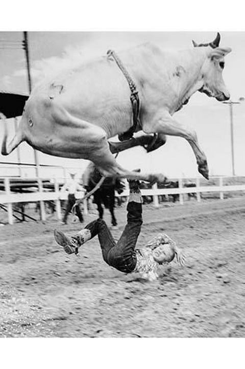 Big Fall from Brahma Bull