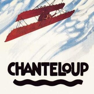 Biplane Executes a Loop by Axel Nygaard