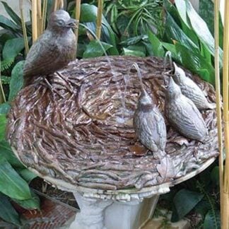 Bird Bath by Jason Pierce