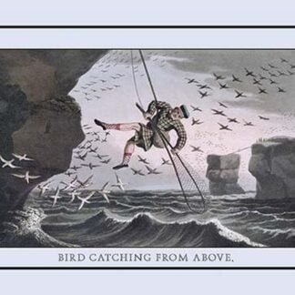 Bird Catching From Above by J.H. Clark