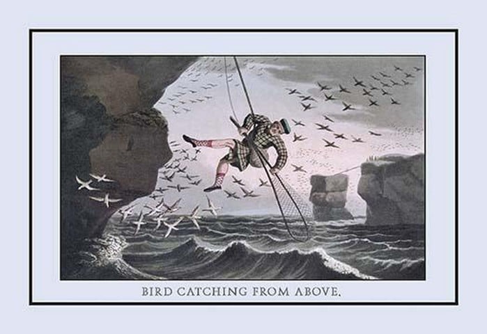 Bird Catching From Above by J.H. Clark
