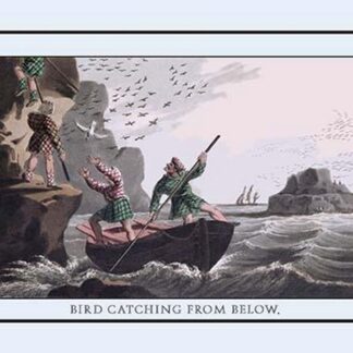Bird Catching From Below by J.H. Clark