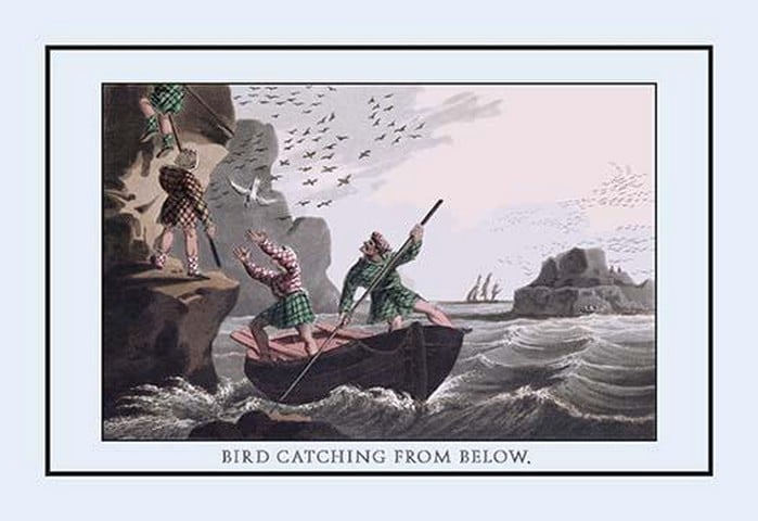 Bird Catching From Below by J.H. Clark