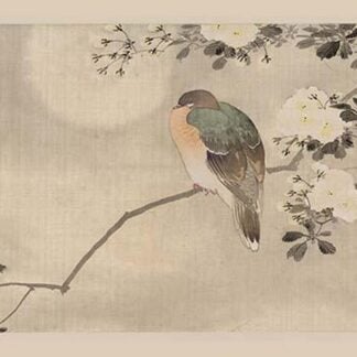 Bird and Cherry Blossoms