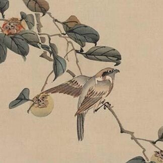 Bird perched on a branch from a fruit persimmon tree. by Keibun Matsumura