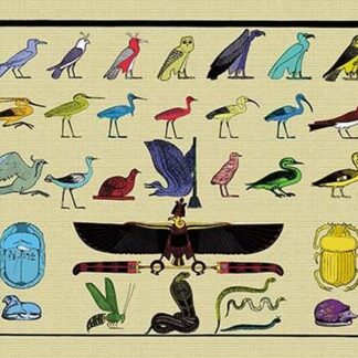 Birds and Other Creatures from Egyptian Monuments by John Gardner Wilkinson