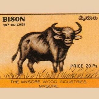 Bison