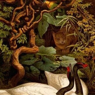 Black Swans by Friedrich Wilhelm Kuhnert