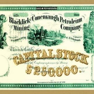 Blacklick & Conemaugh Petroleum Mining Company
