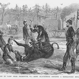 Blacksmith shoes a Refractory Mule by Frank Leslie