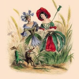 Bleuet et Coquelicot by J.J. Grandville