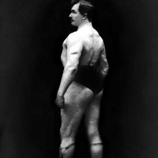 Bodybuilder's Back and Partial Left Profile