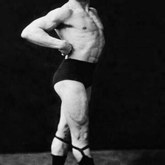 Bodybuilder's Right Profile