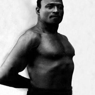 Bodybuilder's Shadowed Torso