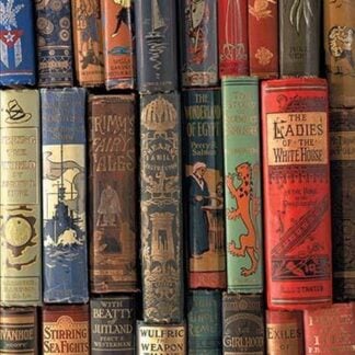 Book Shelf by Wilbur Pierce