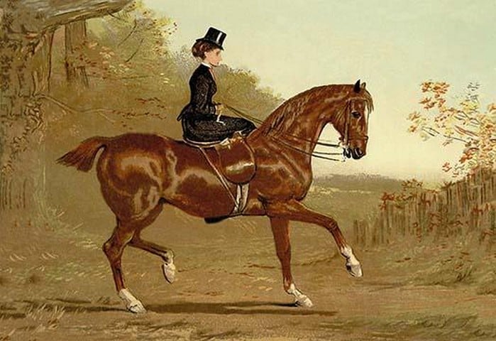 Book of the Horse by Samuel Sidney