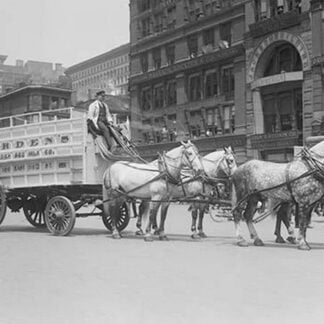 Borden Dairies enter a Horse Drawn Wagon in the Work Horse Parade