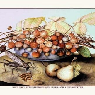 Bowl of Strawberries