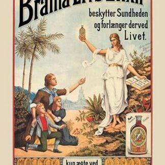 Brama Livs Elixir by Anonymous