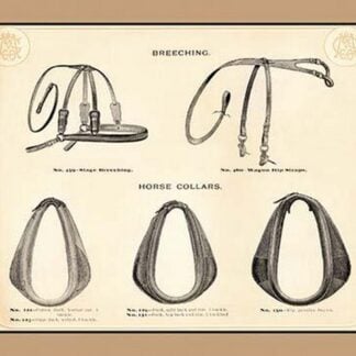 Breeching and Horse Collars