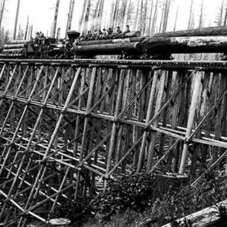 Bridge of Trees by Darius Kinsey