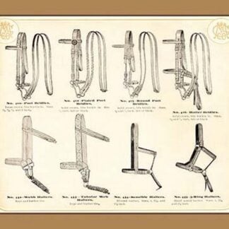 Bridles and Halters