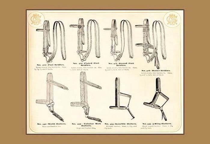 Bridles and Halters