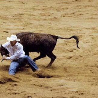 Bringing down the Bull by Carol Highsmith