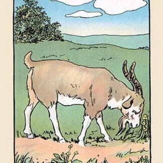 Brother Bill the Billy Goat by Julia Dyar Hardy