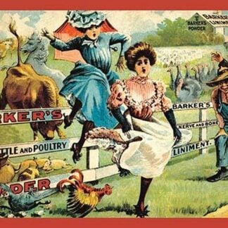 Bucking Broncos Chase Ladies