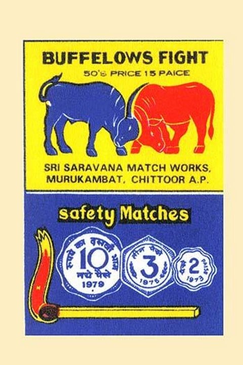 Buffelows Fight (Buffalo)