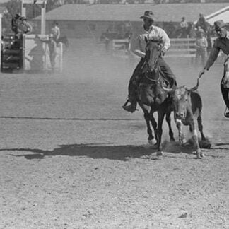 Bulldogging by Arthur Rothstein #4