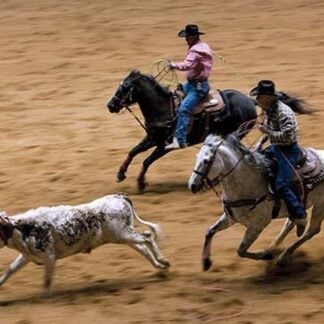 Bulldogging by Carol Highsmith #2