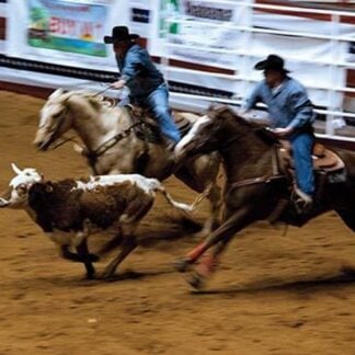 Bulldogging by Carol Highsmith