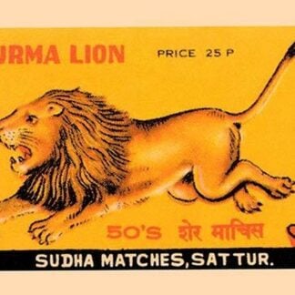 Burma Lion #2