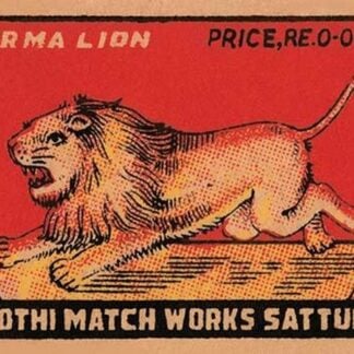 Burma Lion