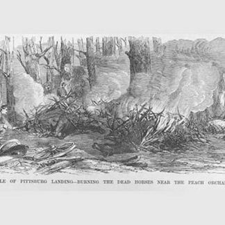 Burning Dead Horses at the Battle of Pittsburg Landing by Frank Leslie