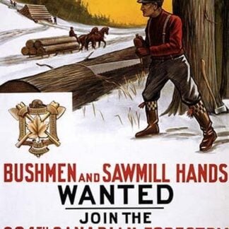 Bushmen and sawmill hands Wanted by The Mortimer Company #2