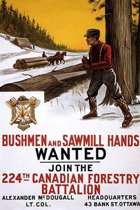 Bushmen and sawmill hands Wanted by The Mortimer Company #2