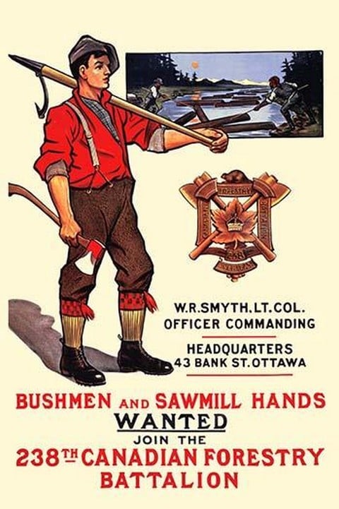 Bushmen and sawmill hands Wanted by The Mortimer Company